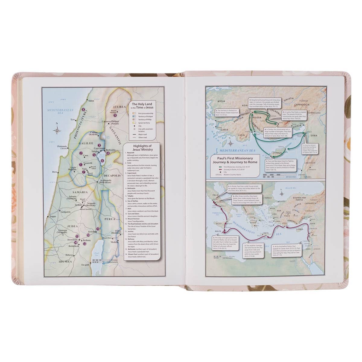 KJV Notetaking Bible Faux Leather Strength&Dignity Prov31:25