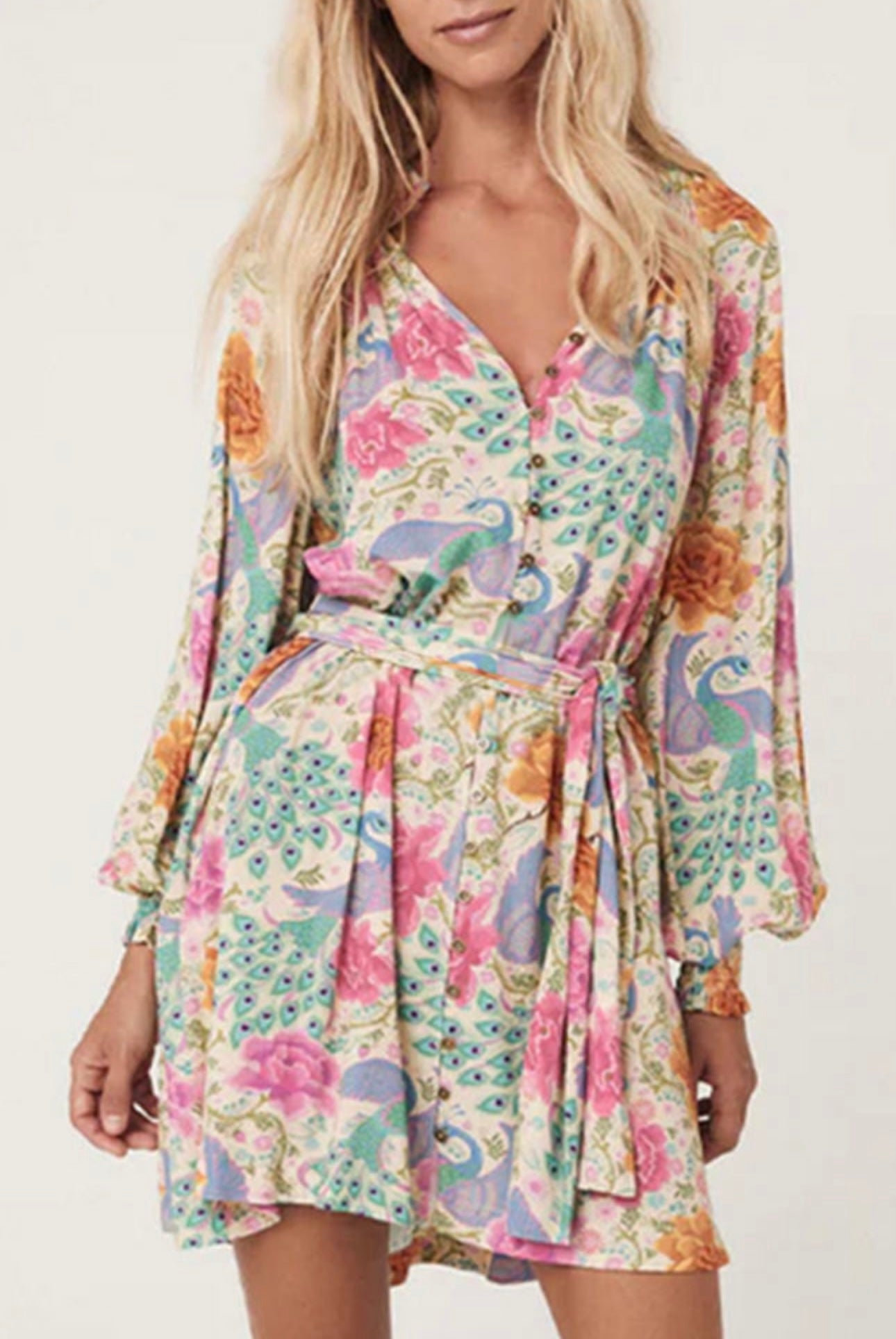 Everyone’s Dream Dress MULTI COLORED